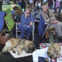 Salzburg Clubschau Mai 06 233 